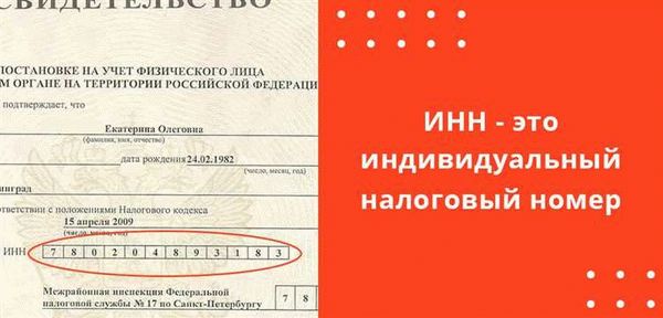 Возраст для получения ИНН на ребенка в 2023 году