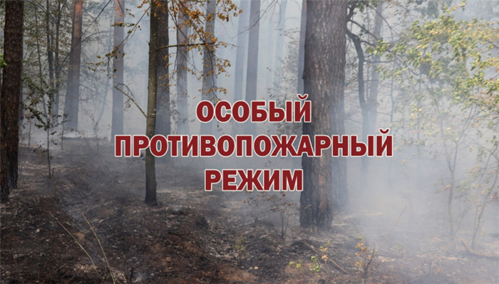 Особый противопожарный режим: Условия введения, периоды действия, штрафы за нарушение требований.