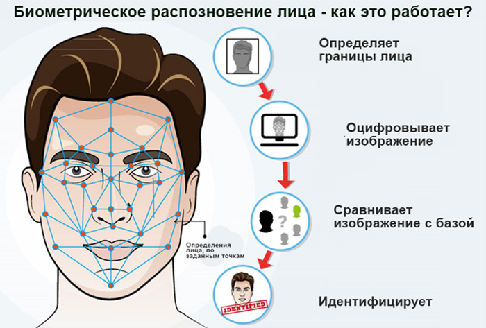 Биометрические данные