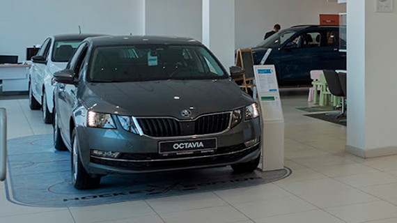 Skoda Octavia в автосалона ТрансТехСервис