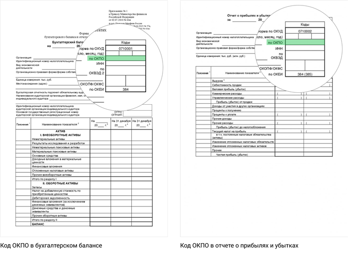 Коды ОКПО в формах бухгалтерской отчетности