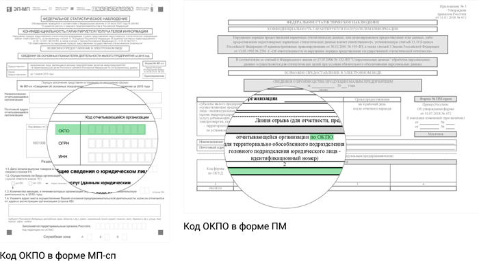 Коды ОКПО в формах статистической отчетности