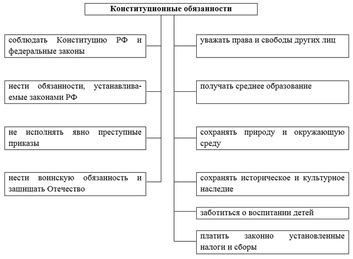 Основные конституционные обязанности человека и гражданина