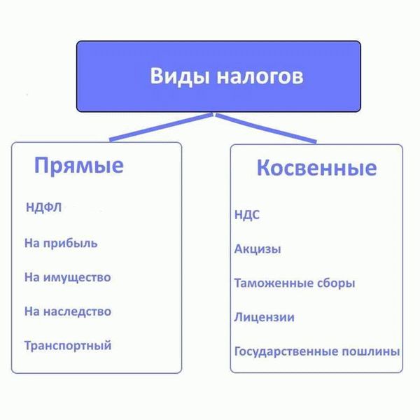 Кто должен платить специальные налоги?