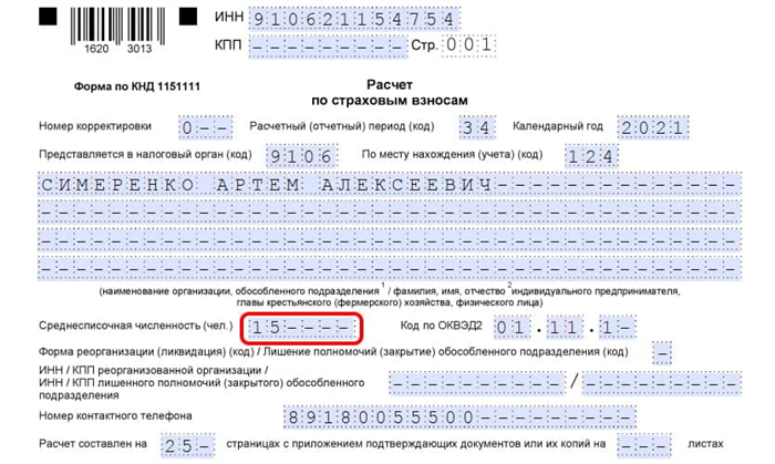 Отчетность по среднесписочной численности