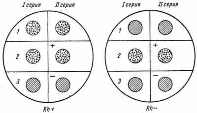 Группы крови по системе резус