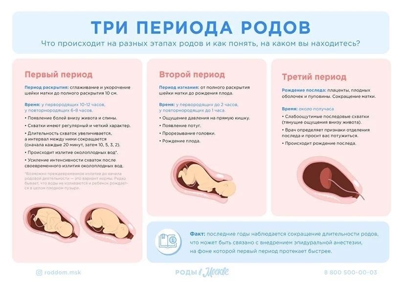 4. Поймите сроки и условия