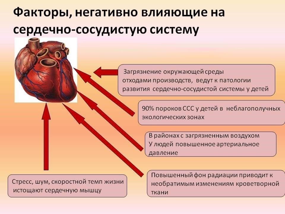 Здоровье сердечно-сосудистой системы - в связи с нагрузками, связанными с управлением крупногабаритными транспортными средствами, необходимо проверить работу сердца и кровообращение. Любые отклонения в сердечном ритме или кровяном давлении могут потребовать дальнейшего контроля или лечения перед получением разрешения.