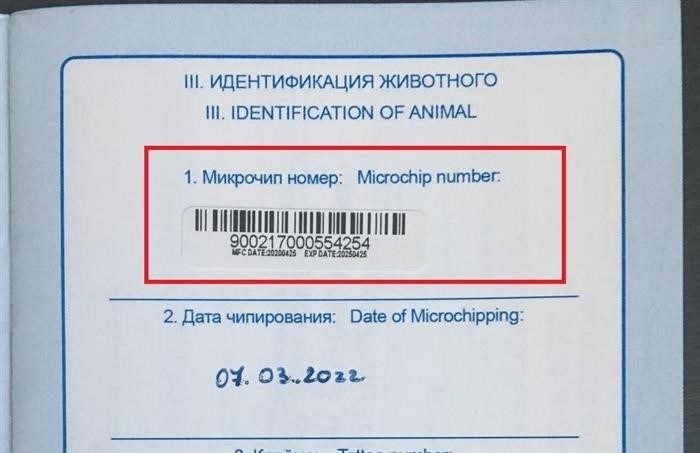 Данные о стрижке вклеиваются на первой странице ветеринарного паспорта