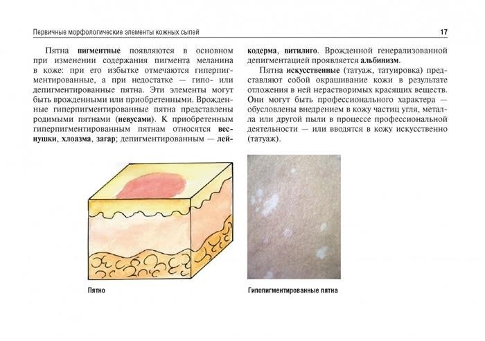 Как рисовать новичку