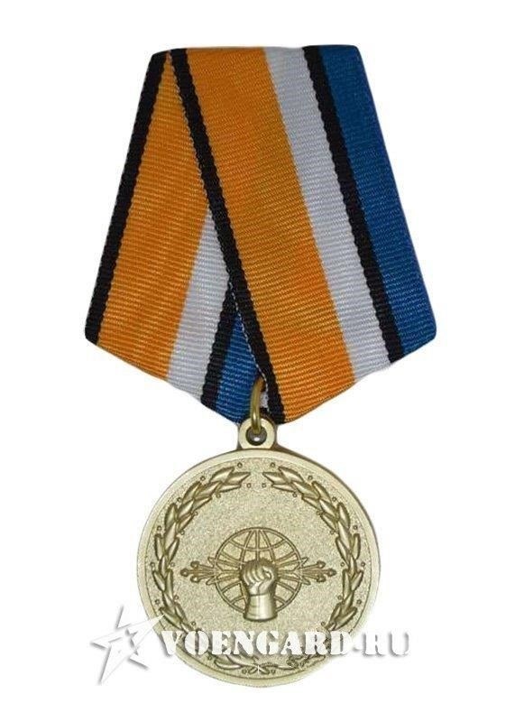 Если восточногерманский знак отличия обычно вручался после 20 лет службы в различных силовых структурах, включая пограничные войска и народную милицию, то российская награда больше ориентирована на активную службу в Воздушно-космических силах, охватывая сотрудников военного и гражданского секторов. Лента советской награды включает в себя полосы темно-синего и белого цветов, что отражает традиционные цвета, связанные с аэрокосмическими миссиями, в то время как восточногерманский знак отличия был отмечен лентой с более сдержанной цветовой гаммой.