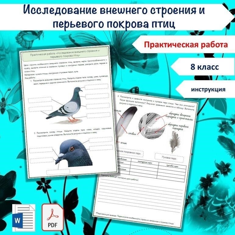 Изучите счета и сравните их с подписанным договором.