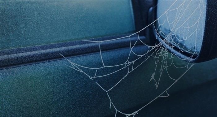 Что делать, если страховщик не выплатил неустойку в срок