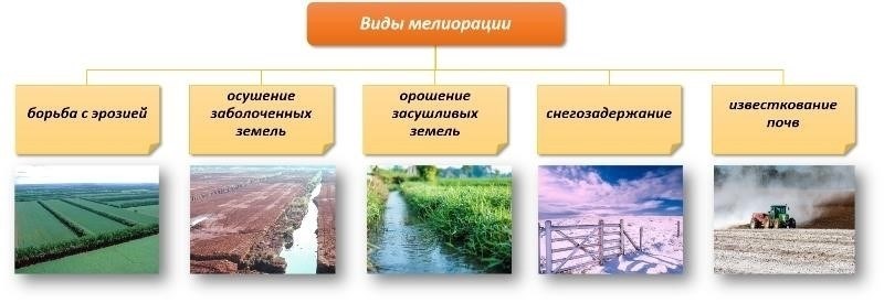 Однако деятельность человека играет более значительную роль в деградации почвы. К таким видам деятельности относятся: