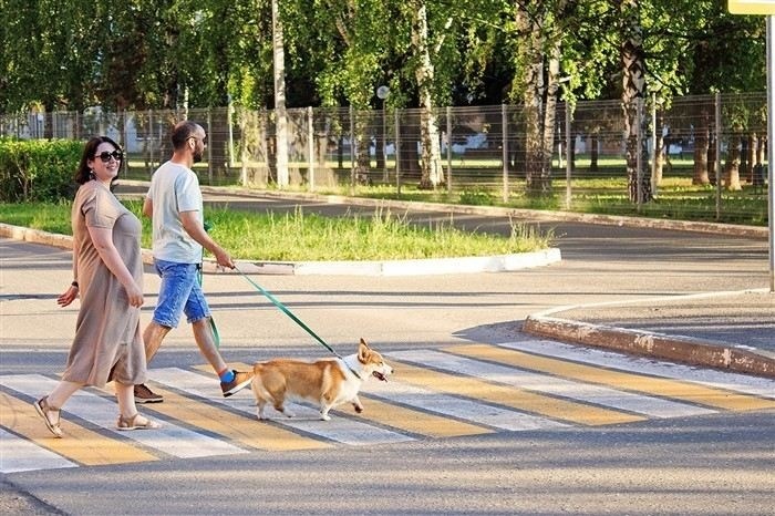 Как изменилось понимание ответственности за столкновения с пешеходами