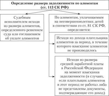 Правовые механизмы принудительного взыскания алиментов