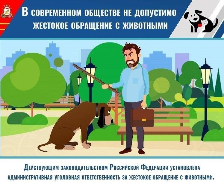 Распознавание признаков жестокого обращения с животными: Можете ли вы их заметить?