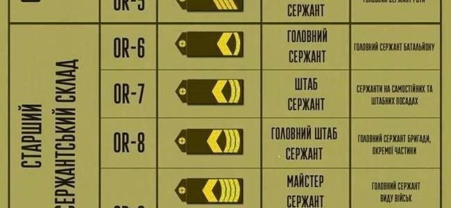 Роли сержантского состава (НСО)