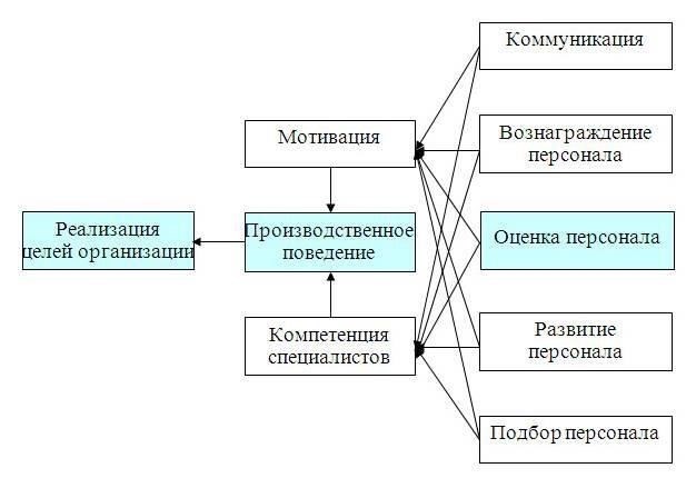 Такая система классификации не только помогает выявить потенциальных сотрудников, но и обеспечивает наличие необходимых навыков для выполнения специфических требований, предъявляемых к различным должностям.