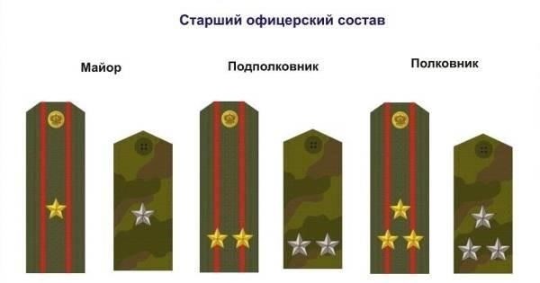 В Соединенных Штатах Америки звезды на погонах обычно носят старшие офицеры, причем есть явное различие между армейскими и флотскими знаками различия. Например, армейский генерал носит набор пятиконечных звезд, которые часто бывают белого или серебряного цвета и располагаются на плече в определенной последовательности. Количество звезд указывает на звание офицера, где каждая дополнительная звезда означает более высокую должность в армии. Размер звезды также зависит от должности: более крупные звезды означают более высокий авторитет.