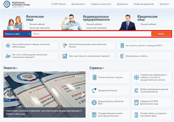 Поиск на официальном сайте ФНС